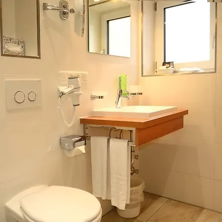 Alpenhof Hotel 4*